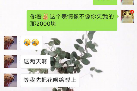 魏三三驴子要账：一场跨时代的讨债传奇