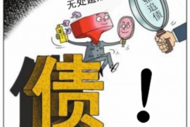 苏宁任性贷催收：解析背后的法律逻辑与应对策略
